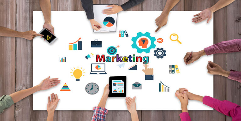 Driving Digital Success: A Deep Dive into Lime Tea’s Services