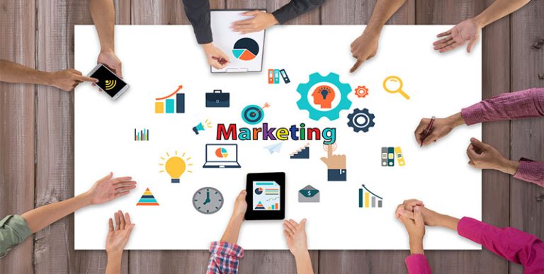 Driving Digital Success: A Deep Dive into Lime Tea’s Services